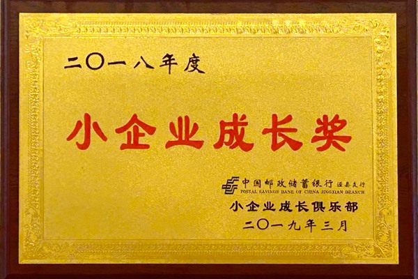 小企业成长奖